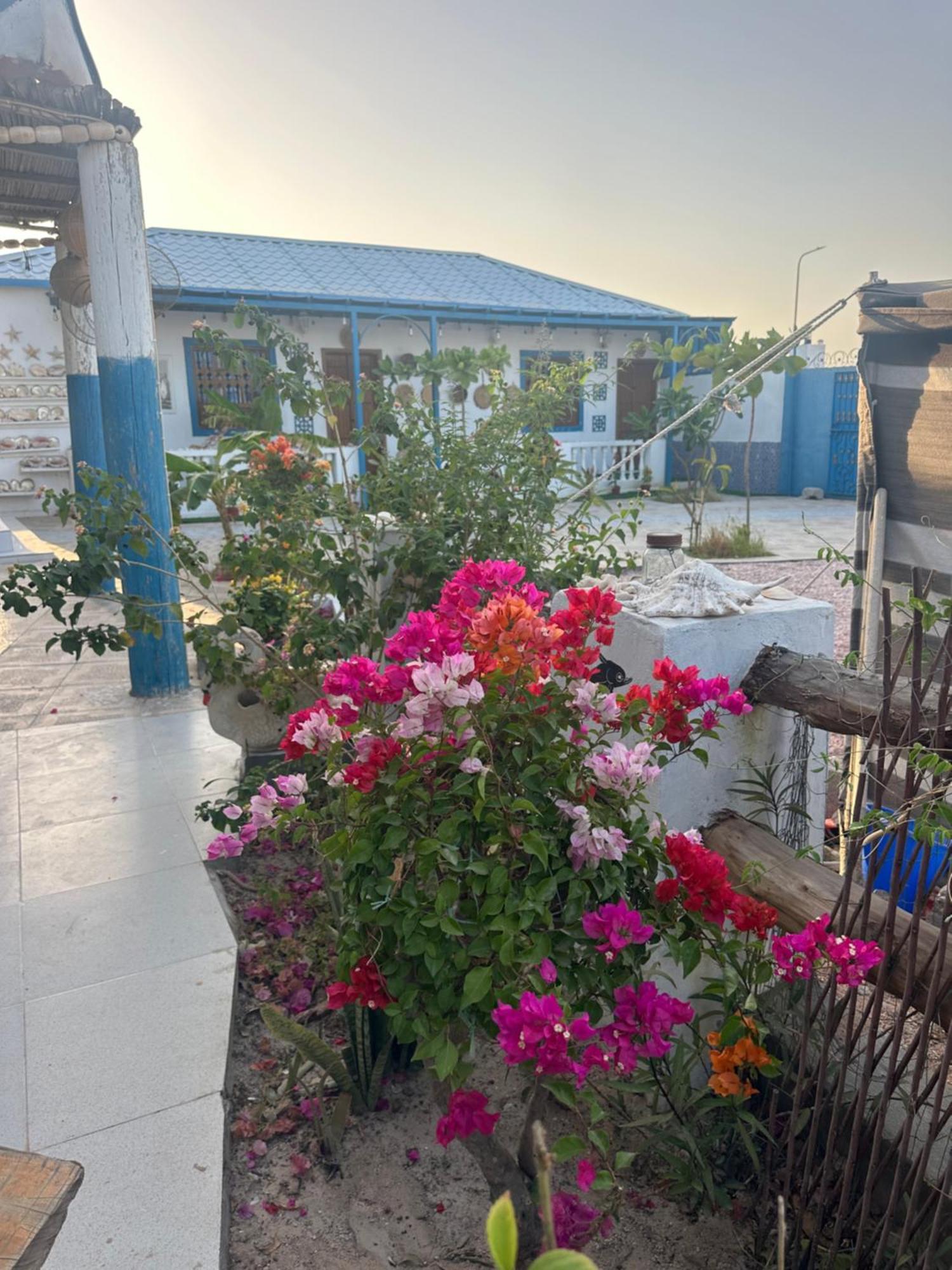 Salem Fish Guest House Ras al Hadd Exteriör bild