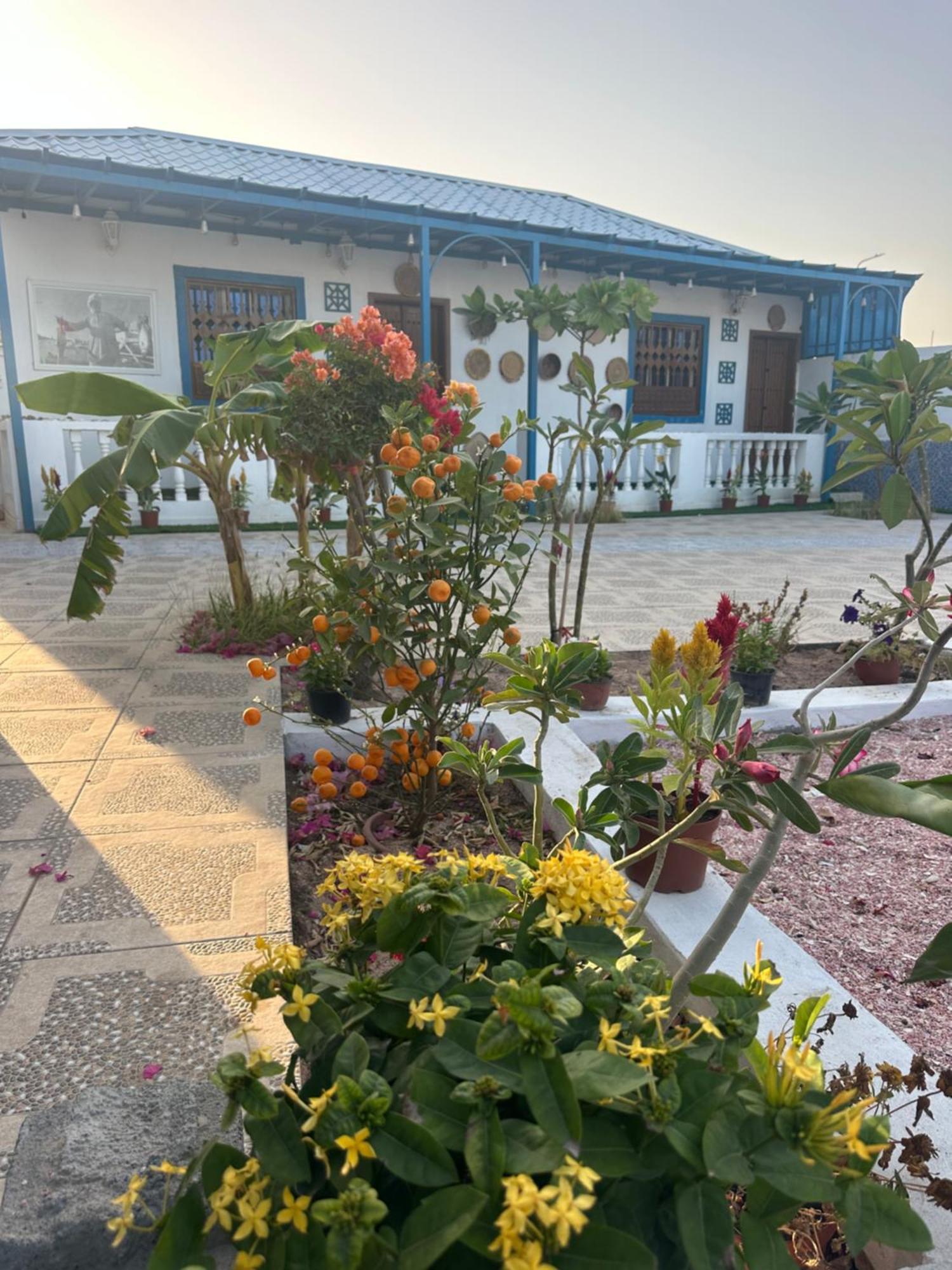 Salem Fish Guest House Ras al Hadd Exteriör bild